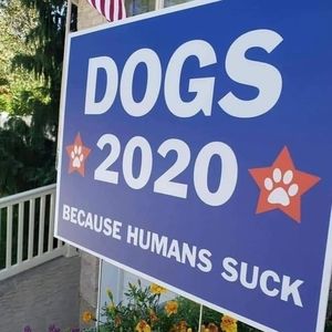 Meet your Posher, Lonnie